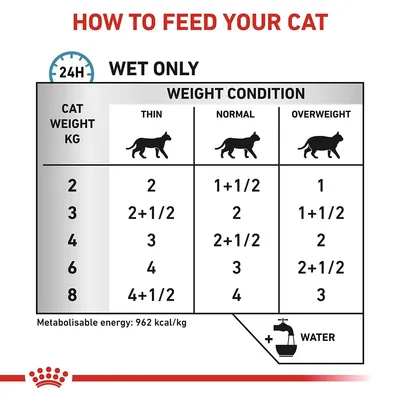 Utfodringstabell för katt: våtfoder per dag efter vikt (2–8 kg) och hull (smal, normal, överviktig). Exempel: 4 kg, normal: 2+1/2. Energi: 962 kcal/kg. Vatten rekommenderas.