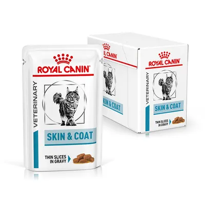 Royal Canin Veterinary Skin & Coat cat food pouch and box, visible text: 'SKIN & COAT', 'THIN SLICES IN GRAVY', image of a long-haired cat on packaging.