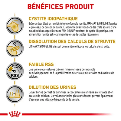 Bénéfices produit : cystite idiopathique, dissolution des calculs de struvite, faible RSS, dilution des urines. Explications détaillées pour chaque bénéfice visibles sur l’image.