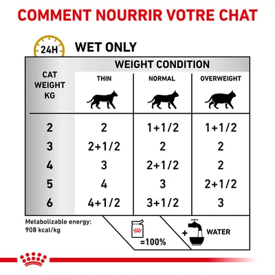 Tableau d’alimentation pour chat : portions journalières en fonction du poids (2–6 kg) et de la condition corporelle (maigre, normal, surpoids). Énergie 908 kcal/kg. Ajouter de l’eau.