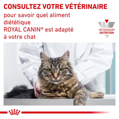 Consultez votre vétérinaire pour savoir quel aliment diététique ROYAL CANIN est adapté à votre chat. VETERINARY NUTRITION.