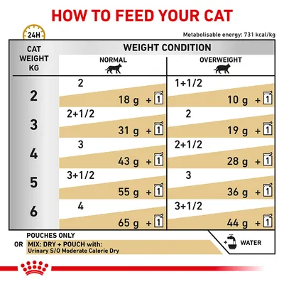Feeding guide chart showing daily pouch and dry food amounts by cat weight and condition, with separate columns for normal and overweight. Includes water symbol and mixing instructions.