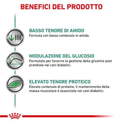 Benefici del prodotto: basso tenore di amido, modulazione del glucosio, elevato tenore proteico. Testo in italiano su benefici per cani diabetici.