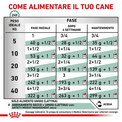 Tabella razioni consigliate alimentare cani: peso ideale 5–40 kg, quantità giornaliera in grammi e lattine per fase iniziale, dopo 4 settimane e mantenimento. Include opzioni solo umido o combinato.