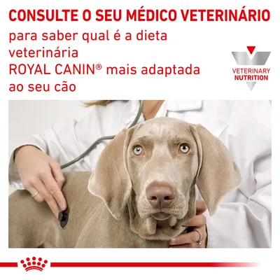 Consulte o seu médico veterinário para saber qual é a dieta veterinária ROYAL CANIN mais adaptada ao seu cão. Veterinary Nutrition.