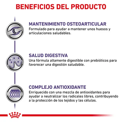 Beneficios del producto: mantenimiento osteoarticular, salud digestiva y complejo antioxidante. Textos explicativos sobre huesos, digestión saludable y protección celular.