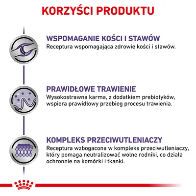 Korzyści produktu: wspomaganie kości i stawów, prawidłowe trawienie, kompleks przeciwutleniaczy. Opisy dotyczą wsparcia zdrowia, trawienia i ochrony komórek. Korzyści produktu: wspomaganie kości i stawów, prawidłowe trawienie, kompleks przeciwutleniaczy. Opisy dotyczą wsparcia zdrowia, trawienia i ochrony komórek.
