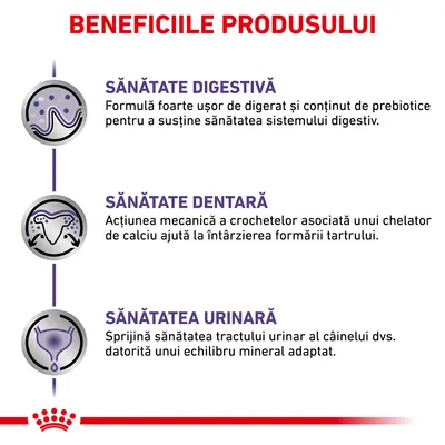 Beneficiile produsului: sănătate digestivă, sănătate dentară, sănătatea urinară. Text explicativ pentru fiecare beneficiu vizibil în imagine.