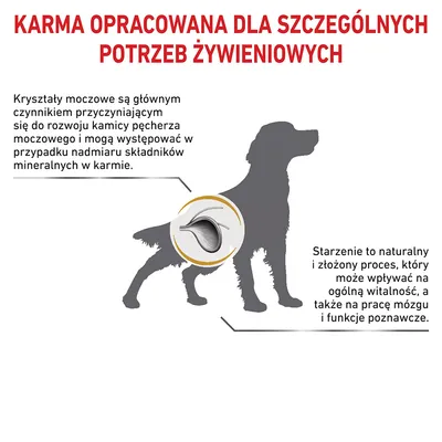 Karma opracowana dla szczególnych potrzeb żywieniowych. Informacje: kryształy moczowe mogą powstawać przy nadmiarze minerałów; starzenie wpływa na witalność i funkcje poznawcze psa.