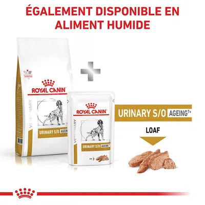 Royal Canin URINARY S/O AGEING 7+ croquettes et aliment humide pour chien, texte : également disponible en aliment humide, LOAF visible sur l’emballage et le produit.