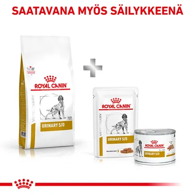 Royal Canin Urinary S/O -koiranruoka, näkyvissä kuivaruokapussi, annospussi ja säilykepurkki. Teksti: Saatavana myös säilykkeenä.