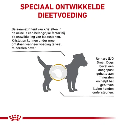 Speciaal ontwikkelde dieetvoeding. Urinary S/O Small Dogs bevat aangepast gehalte aan mineralen en helpt het gebit van kleine honden ondersteunen. Tekst over kristallen in urine.