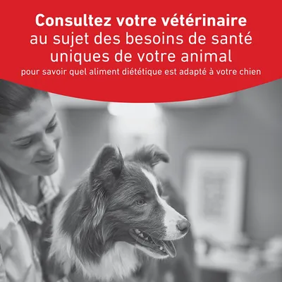 Royal Canin Veterinary Canin Glycobalance