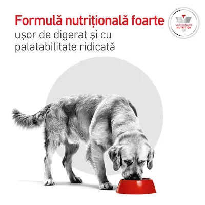 Royal Canin Veterinary Canine Glycobalance