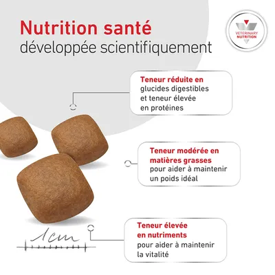Royal Canin Veterinary Canin Glycobalance