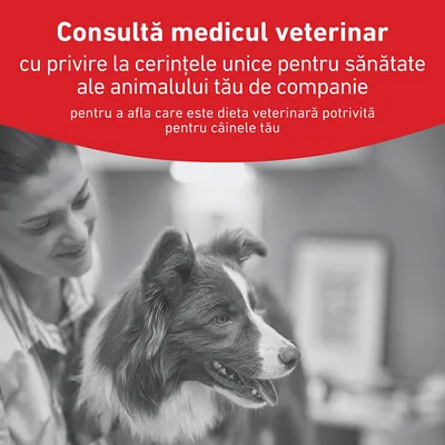 Royal Canin Veterinary Canine Glycobalance Mousse
