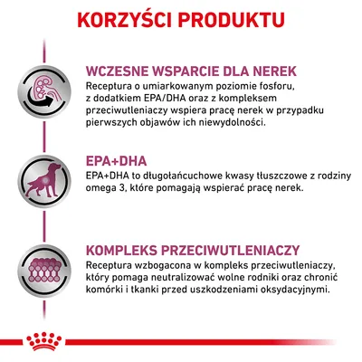 Korzyści produktu: wczesne wsparcie dla nerek, EPA+DHA wspiera pracę nerek, kompleks przeciwutleniaczy chroni komórki i tkanki przed uszkodzeniami oksydacyjnymi.