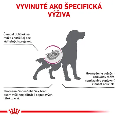 Vyvinuté ako špecifická výživa. Činnosť obličiek sa môže zhoršiť aj bez viditeľných prejavov. Zhoršená činnosť obličiek bráni psom v filtrácii odpadových látok z krvi. Hromadenie voľných radikálov môže nepriaznivo ovplyvniť činnosť obličiek.