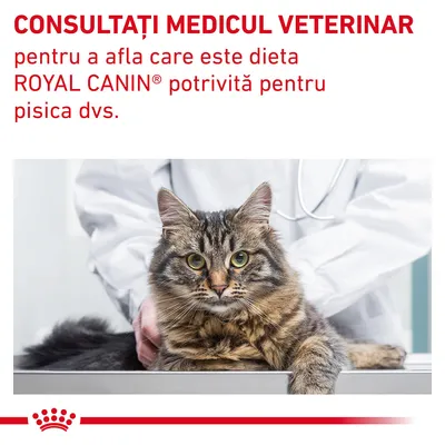 CONSULTAȚI MEDICUL VETERINAR pentru a afla care este dieta ROYAL CANIN potrivită pentru pisica dvs. Text vizibil pe imagine cu o pisică la veterinar.
