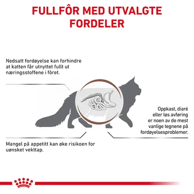 Royal Canin Veterinary Feline Gastrointestinal