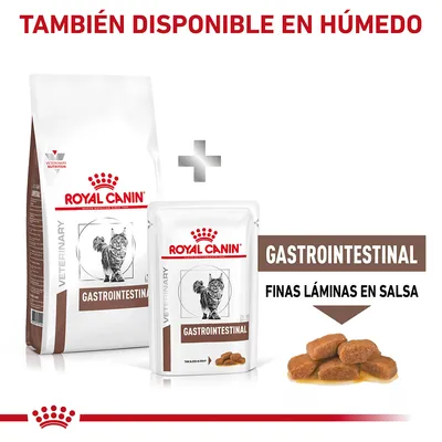 Royal Canin Veterinary Gastrointestinal para gatos, disponible en seco y húmedo. Texto: 'Gastrointestinal, finas láminas en salsa'. Imagen de croquetas húmedas en salsa.