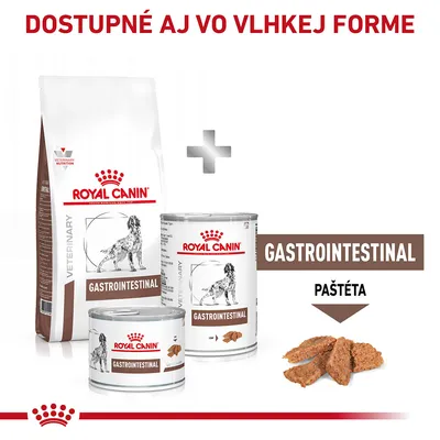 Royal Canin Gastrointestinal suché a vlhké krmivo, paštéta. Dostupné aj vo vlhkej forme. Na obale obrázok psa, text: GASTROINTESTINAL, PAŠTÉTA.