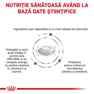 NUTRIȚIE SĂNĂTOASĂ AVÂND LA BAZĂ DATE ȘTIINȚIFICE. Ingrediente ușor digestibile, acizi grași omega-3 EPA+DHA, complex cu vitamina E, C, taurină, prebiotice pentru microbiom sănătos.