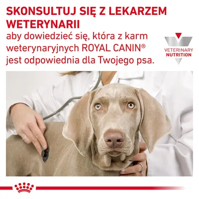 SKONSULTUJ SIĘ Z LEKARZEM WETERYNARII aby dowiedzieć się, która z karm weterynaryjnych ROYAL CANIN jest odpowiednia dla Twojego psa. VETERINARY NUTRITION