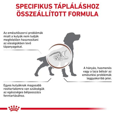 Specifikus tápláláshoz összeállított formula. Emésztési problémák, hányás, hasmenés, rosttartalom szükségessége kutyáknál. Kutyasziluett emésztőrendszer ábrával.