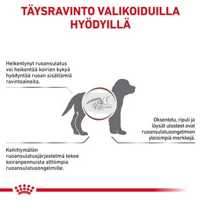 Täysravinto valikoiduilla hyödyillä. Heikentynyt ruoansulatus voi heikentää koirien kykyä hyödyntää ravintoaineita. Oksentelu, ripuli ja löysät ulosteet ovat yleisiä merkkejä.