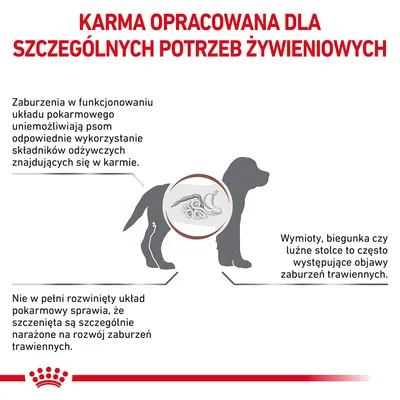 Karma opracowana dla szczególnych potrzeb żywieniowych. Informacje o zaburzeniach trawienia u psów, objawach i ryzyku u szczeniąt. Grafika psa z układem pokarmowym.