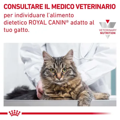 CONSULTARE IL MEDICO VETERINARIO per individuare l’alimento dietetico ROYAL CANIN adatto al tuo gatto. VETERINARY NUTRITION (olasz nyelvű szöveg)