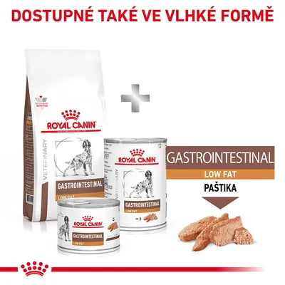 Royal Canin Gastrointestinal Low Fat suché a vlhké krmivo pro psy, paštika. Text: Dostupné také ve vlhké formě, GASTROINTESTINAL LOW FAT PAŠTIKA.