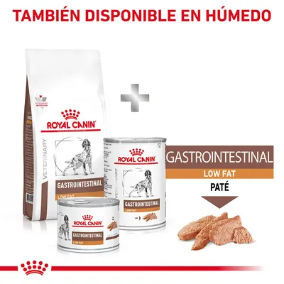 Royal Canin Gastrointestinal Low Fat, pienso y latas de paté para perros. Texto visible: 'TAMBIÉN DISPONIBLE EN HÚMEDO', 'GASTROINTESTINAL LOW FAT PATÉ'.