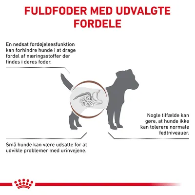 FULDFODER MED UDVALGTE FORDELE. En nedsat fordøjelsesfunktion kan forhindre hunde i at drage fordel af næringsstoffer. Små hunde kan være udsatte for urinvejsproblemer. Nogle tilfælde med fedtintolerance.