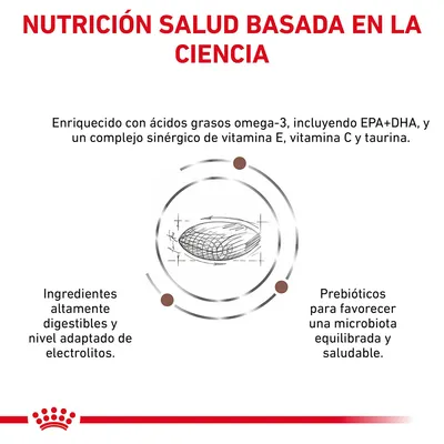 NUTRICIÓN SALUD BASADA EN LA CIENCIA. Enriquecido con ácidos grasos omega-3, EPA+DHA, vitamina E, C y taurina. Ingredientes altamente digestibles, electrolitos adaptados, prebióticos para microbiota. NUTRICIÓN SALUD BASADA EN LA CIENCIA. Enriquecido con ácidos grasos omega-3, EPA+DHA, vitamina E, C y taurina. Ingredientes altamente digestibles, electrolitos adaptados, prebióticos para microbiota.