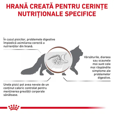 Hrană creată pentru cerințe nutriționale specifice. Probleme digestive la pisici, simptome frecvente: vărsături, diaree, scaune moi. Unele pisici necesită conținut caloric controlat.