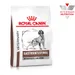Royal Canin Veterinary Canine Gastrointestinal Moderate Calorie
