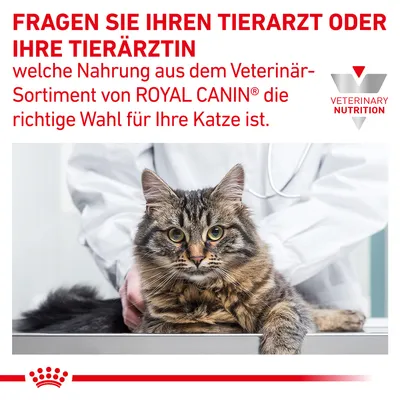 Fragen Sie Ihren Tierarzt oder Ihre Tierärztin, welche Nahrung aus dem Veterinär-Sortiment von Royal Canin die richtige Wahl für Ihre Katze ist.