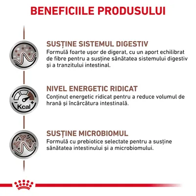 Beneficiile produsului: susține sistemul digestiv, nivel energetic ridicat, susține microbiomul. Text explicativ pentru fiecare beneficiu este inclus în imagine.