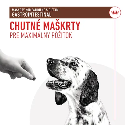 Maškrty kompatibilné s diétami GASTROINTESTINAL. Chutné maškrty pre maximálny pôžitok. Ruka podáva pamlsek psovi.