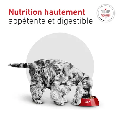 Royal Canin Veterinary Canine Glycobalance Small Dog