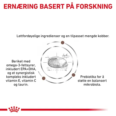 Royal Canin Veterinary Feline Hepatic