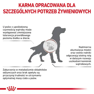 KARMA OPRACOWANA DLA SZCZEGÓLNYCH POTRZEB ŻYWIENIOWYCH. Informacje o problemach z wątrobą, metabolizmem i apetytem u psów oraz wpływie miedzi i wolnych rodników na komórki wątroby.