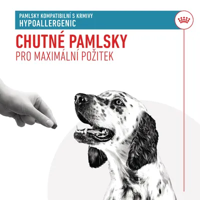 Text: Pamlsky kompatibilní s krmivy HYPOALLERGENIC. Chutné pamlsky pro maximální požitek. Ruka podává pamlsek psovi.