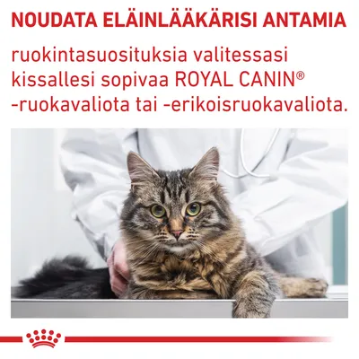 Noudatettava eläinlääkärin antamia ruokintasuosituksia valittaessa kissalle ROYAL CANIN -ruokavaliota tai erikoisruokavaliota. Teksti kuvassa, Royal Canin -brändi.