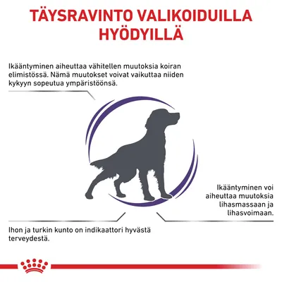 Täysravinto valikoiduilla hyödyillä. Ikääntyminen aiheuttaa muutoksia koiran elimistössä, lihasmassassa ja ihon sekä turkin kunnossa. Näkyvissä Royal Canin -logo.