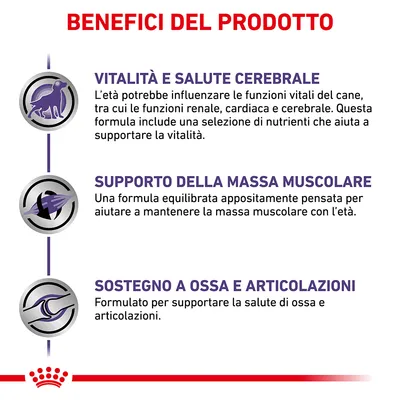 Benefici del prodotto: vitalità e salute cerebrale, supporto della massa muscolare, sostegno a ossa e articolazioni. Testo in italiano con icone illustrative.