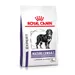 Royal Canin Expert Canine Mature Consult Large Dog