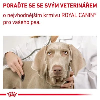PORAĎTE SE SE SVÝM VETERINÁŘEM o nejvhodnějším krmivu ROYAL CANIN pro vašeho psa.